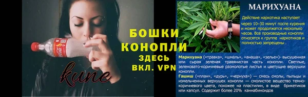 экстази Дмитриев