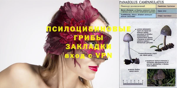 экстази Дмитриев