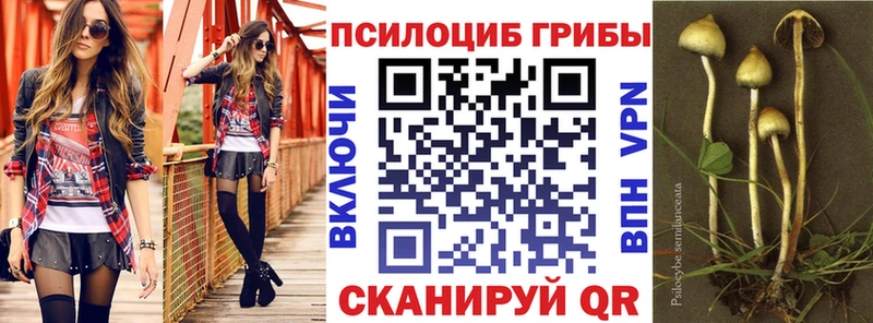 Купить где Рузаевка Галлюциногенные грибы Psilocybe